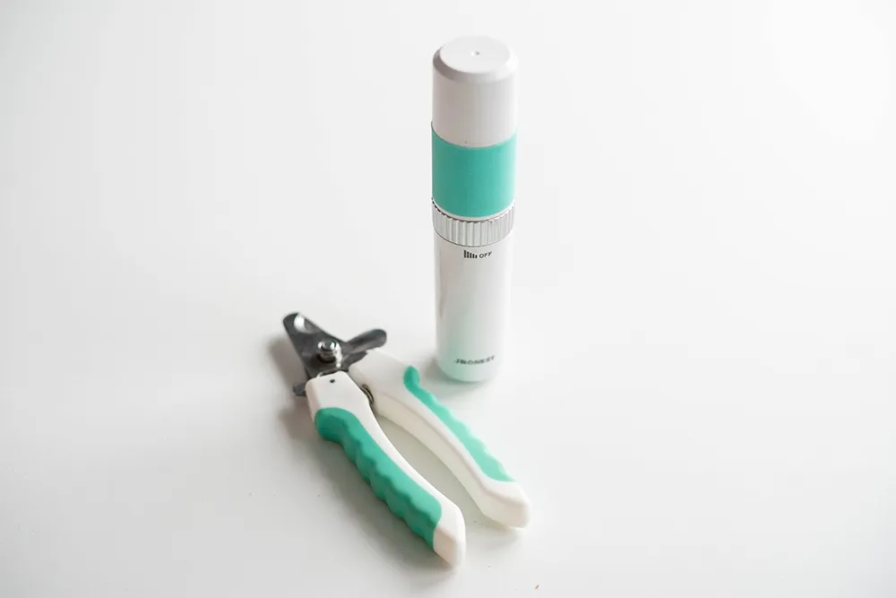 JBonest Krallenschleifer für kleine bis mittelgroße Hunde, abgebildet mit Zubehör und einer Hundepfote zur Demonstration.