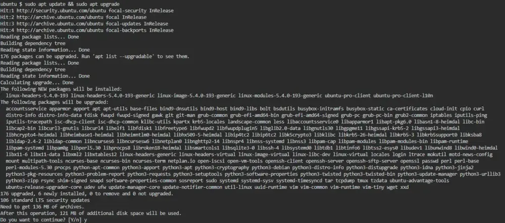 Kali Linux System Update