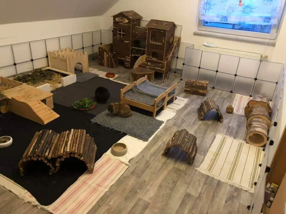 Kaninchengehege mit schützenden Wandelementen