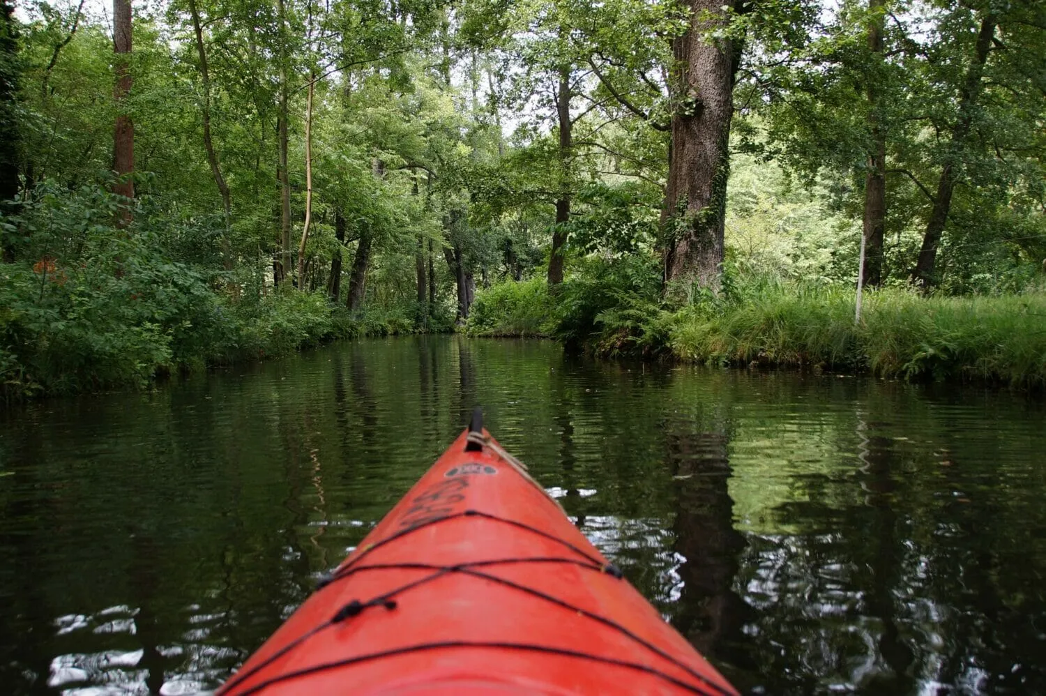 Kanufahrt durch die grünen Kanäle des Spreewaldes