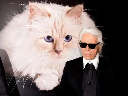 Karl Lagerfeld und seine geliebte Katze Choupette