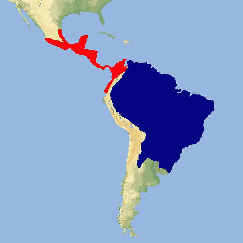 Karte der approximativen Verbreitung von Tamanduas (Kleine Ameisenbären) in Süd- und Mittelamerika