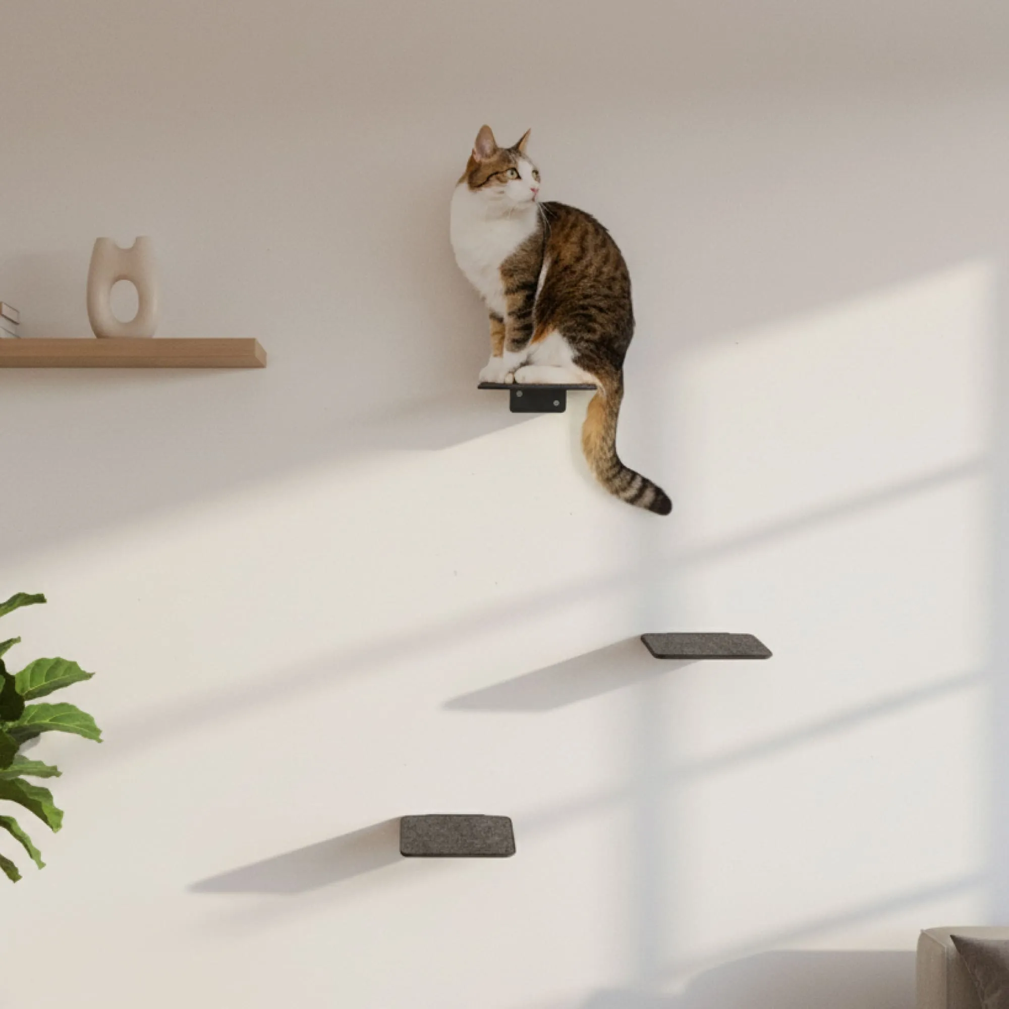 Katze entspannt auf einer anthrazitfarbenen LucyBalu STEPS Katzentreppe XL mit Filzauflagen in einem modernen Wohnzimmer