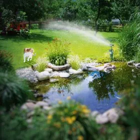 Katze rennt vor Wasserstrahl in einem Garten weg