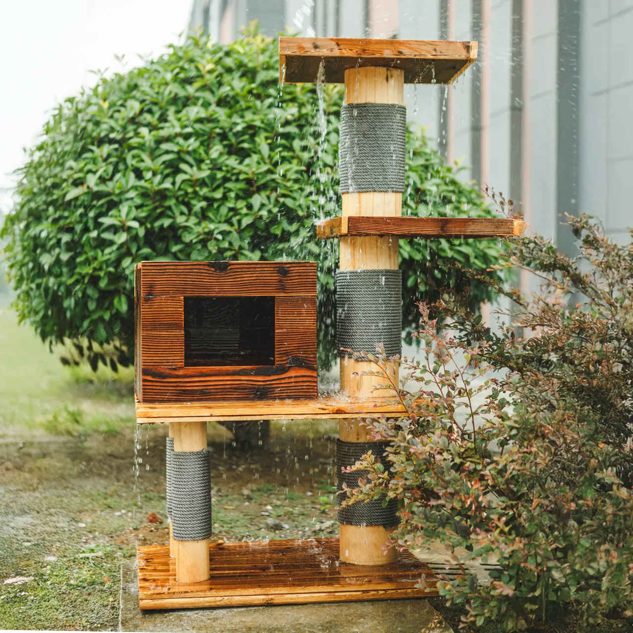 Katze schärft Krallen am robusten Naturholz-Kratzbaum