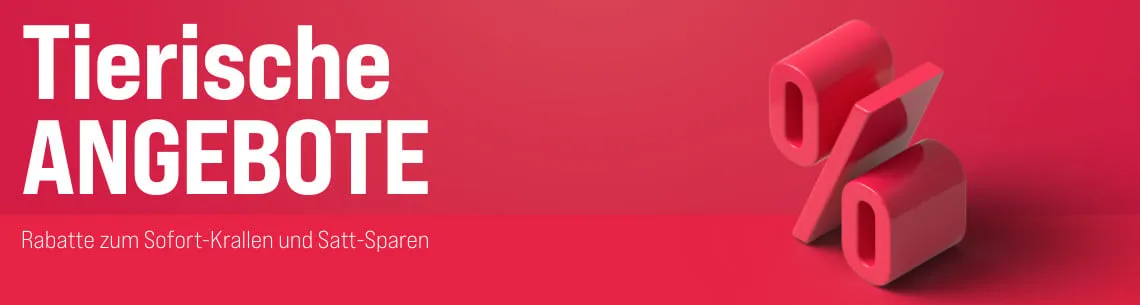 Katzen-Angebote entdecken