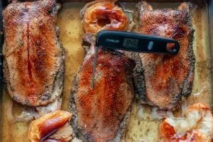 Kerntemperatur der Gänsebrust wird mit einem Einstechthermometer gemessen