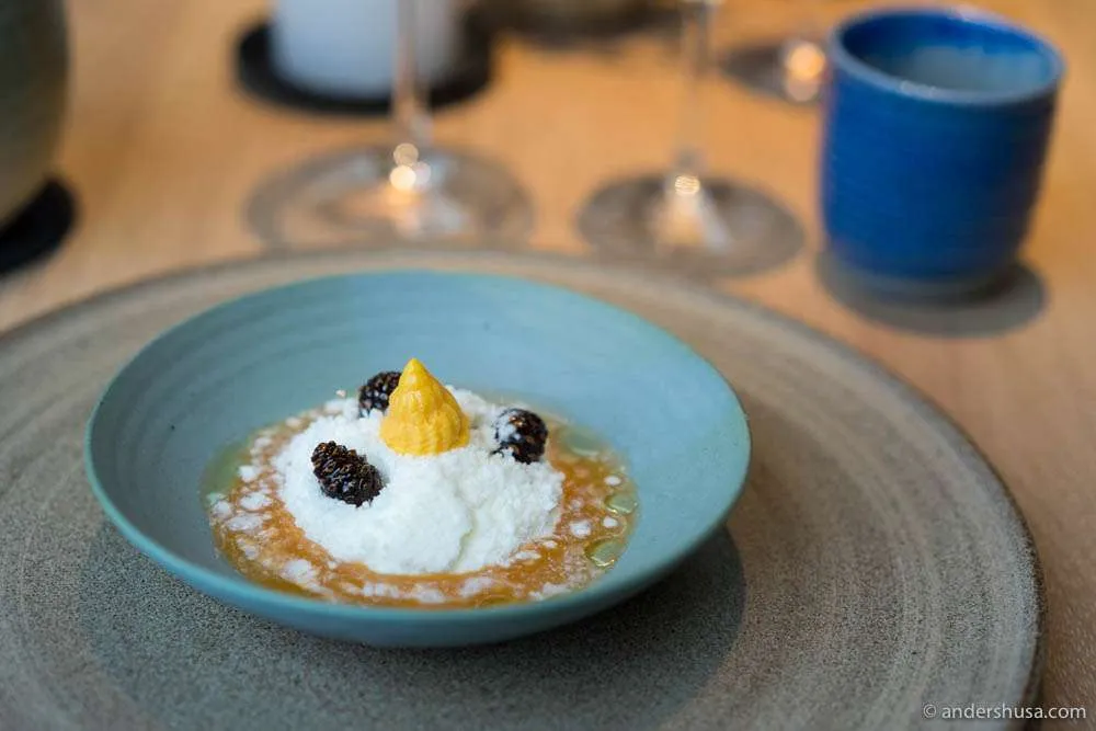 Kiefernzapfen-Toffees, 2 Stunden in Zucker geköchelt, Moltebeersauce mit Joghurtschnee.
