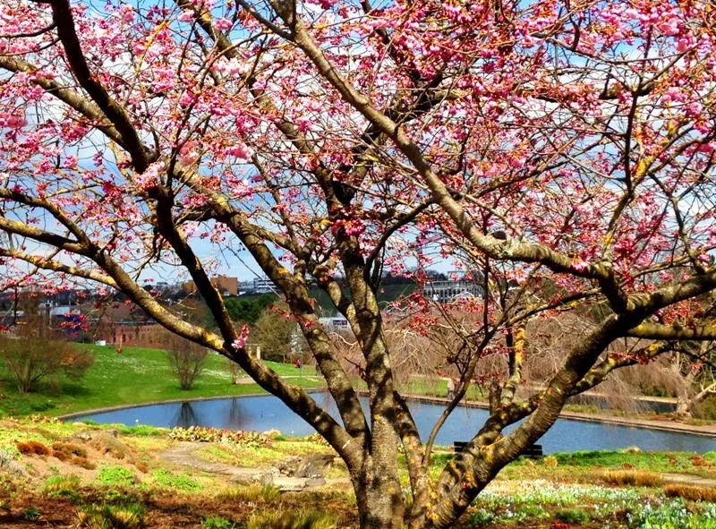 Killesbergpark: Ein idealer Ort für Outdoor Ausflüge mit Kindern in Stuttgart