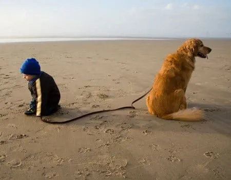 Kind spielt ausgelassen mit einem Hund am weitläufigen Hundestrand Sahlenburg in Cuxhaven, Norddeutschland