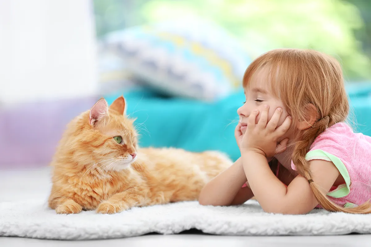 Kind spielt mit Katze, die nicht zu den Haustieren mit wenig Aufwand zählt