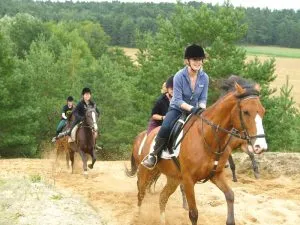 Kinder lachen und kümmern sich um Ponys im Juniorclub, typisch für Reiterferien ohne Eltern in Norddeutschland