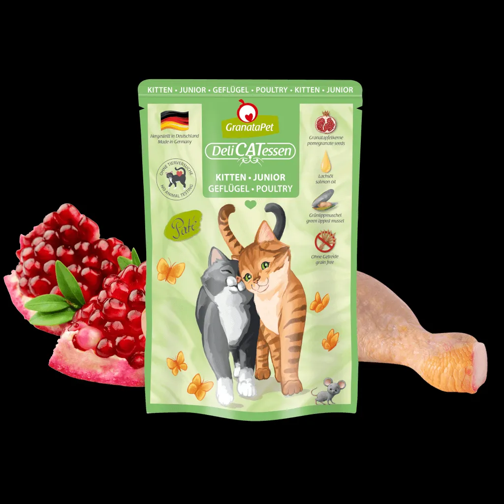 Kitten frisst Granatapet Futter