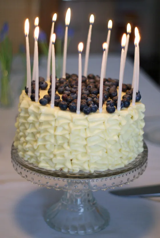 Klassische Heidelbeer-Zitronen-Torte