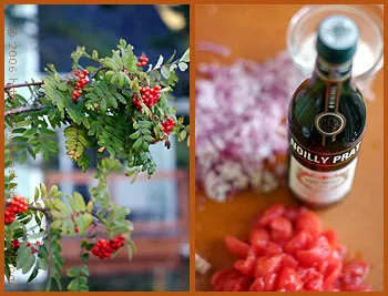 Kochvorgang: Risotto Reis wird in einem Topf gerührt und mit Brühe angereichert