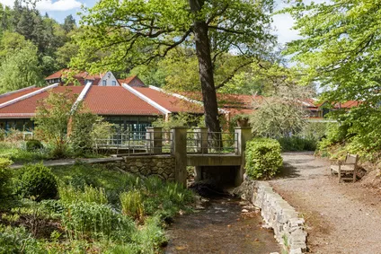Kurpark Bad Suderode im Harz