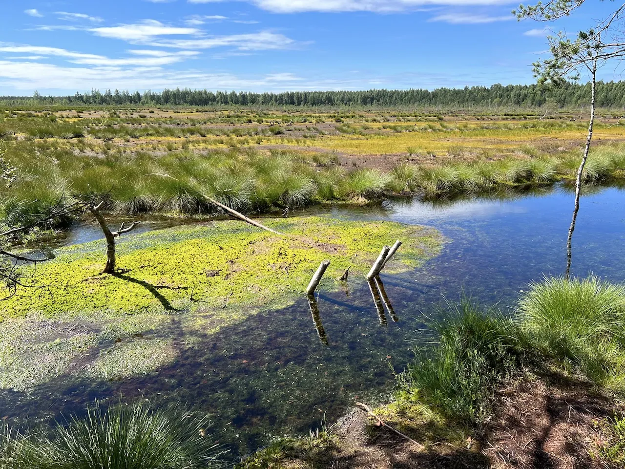 Lahemaa Nationalpark Farben