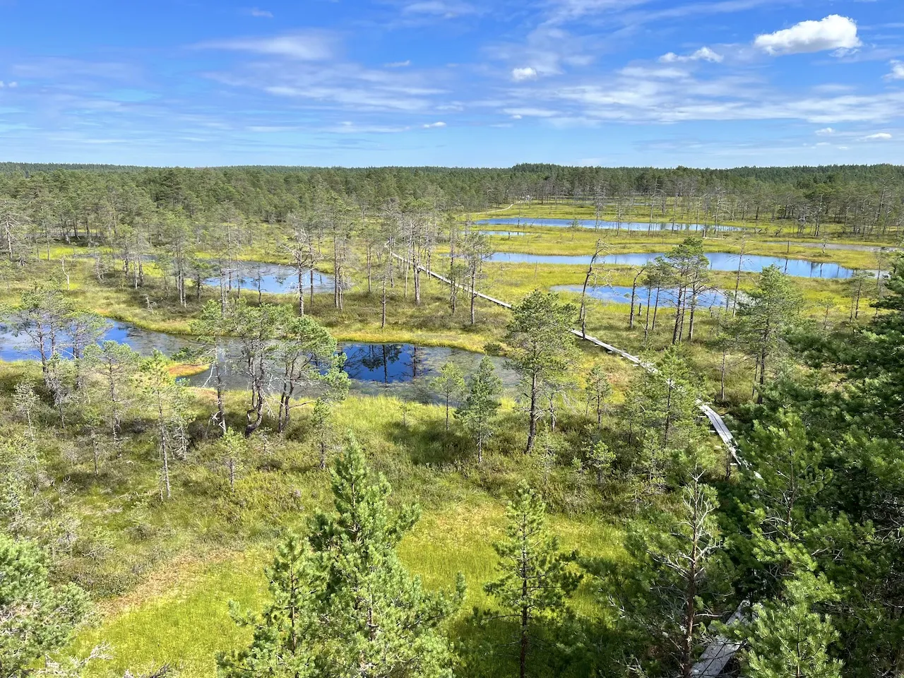 Lahemaa Nationalpark Holzbohlenpfad