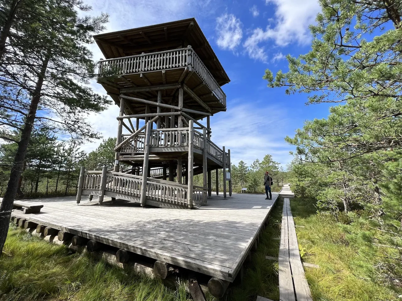 Lahemaa Nationalpark Moorlandschaft