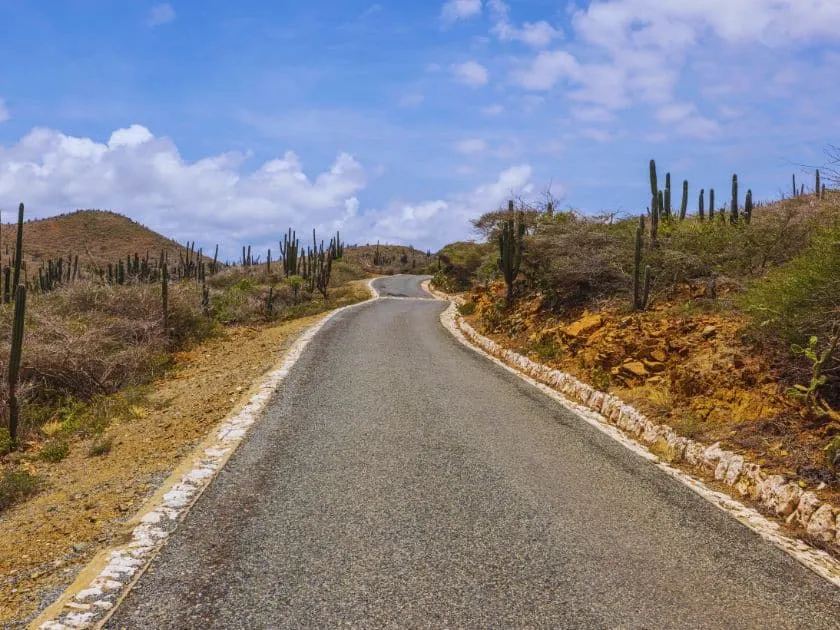 Landschaft im Arikok Nationalpark auf Aruba mit Kakteen und rauer Natur