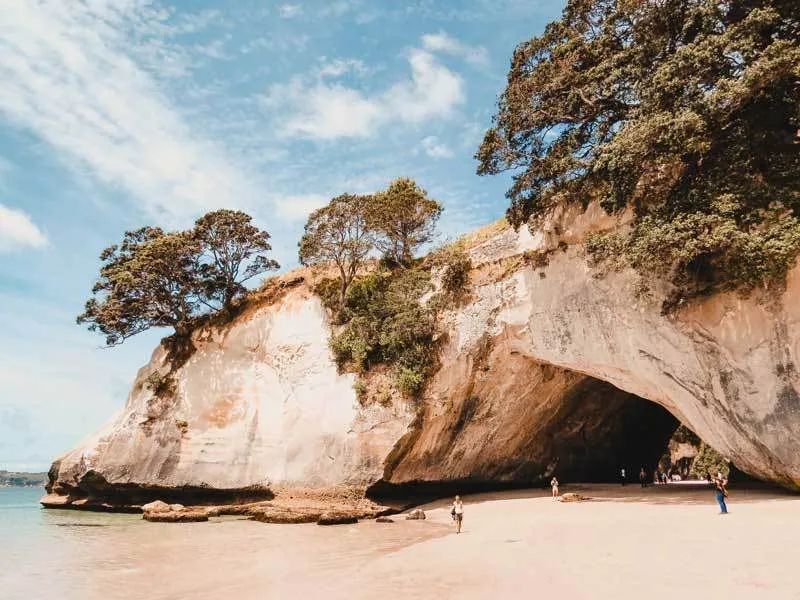 Landschaft in Neuseeland