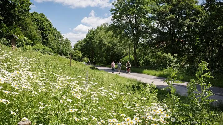 Landschaftsachse Horner Geest, Borgfelder Grünzug