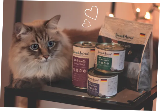Langhaarige Katze sitzt neben mehreren Dosen und einem Beutel Venandi Animal Katzenfutter – Werbegrafik für das Futter-Abo mit 10 % Rabatt.