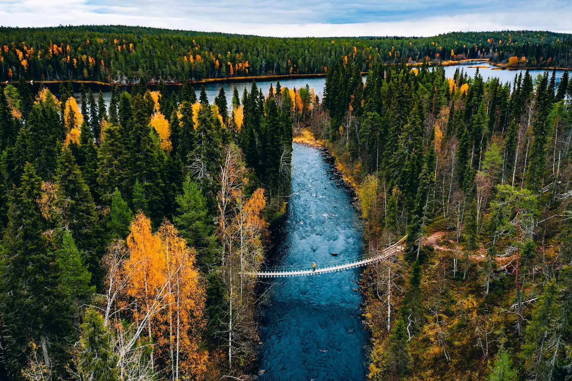 Lappland in Finnland mit Birken- und Kiefernwäldern