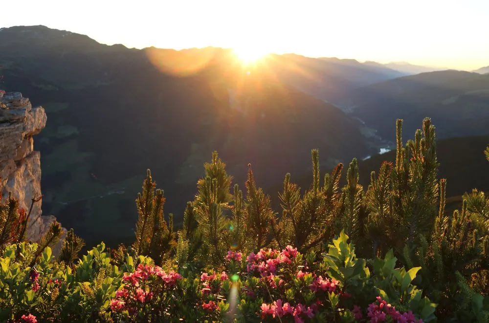 Leuchtende Berggipfel im Morgengrauen: Ein unvergessliches Naturschauspiel für Reisende auf Luxusniveau.