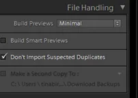 Lightroom Dateibehandlungseinstellungen beim Import