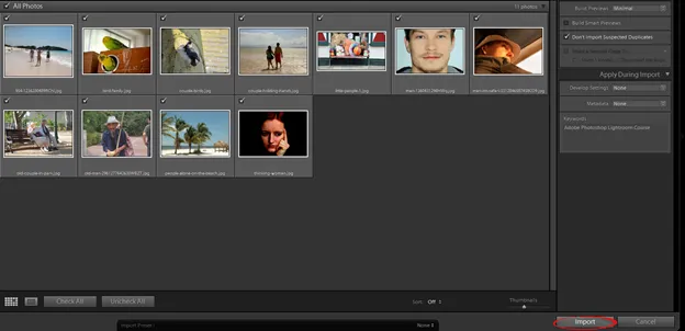 Lightroom Importieren Button