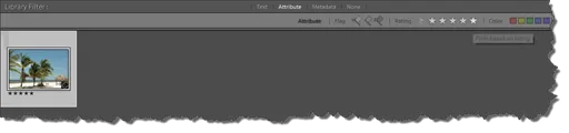 Lightroom nach 5 Sternen filtern