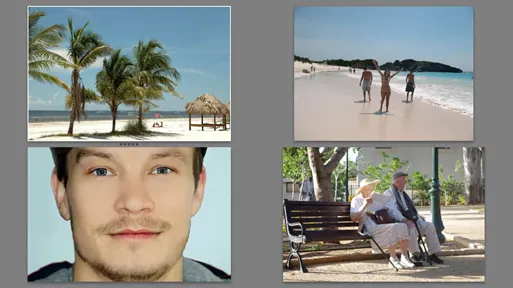 Lightroom Umfrageansicht mehrerer Bilder