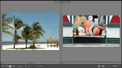Lightroom Vergleichsansicht zweier Bilder