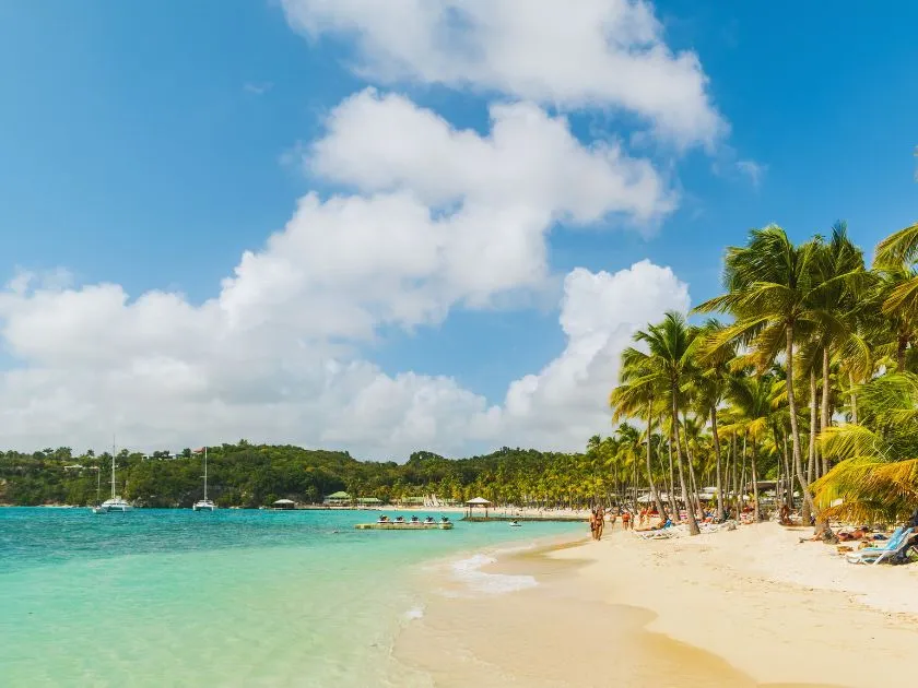 Luftaufnahme der schmetterlingsförmigen Insel Guadeloupe mit Küste und Bergen