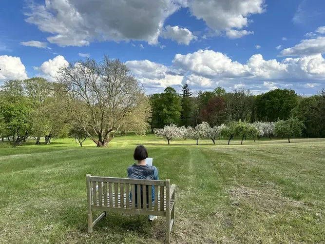 Malerische Landschaft auf dem Weg zum Tollense-See