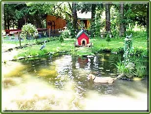 Malerische Teichlandschaft im Hotelpark des Harzes