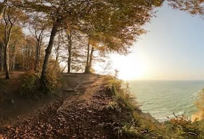Malerischer Wanderweg an der Ostseeküste im Herbstlaub