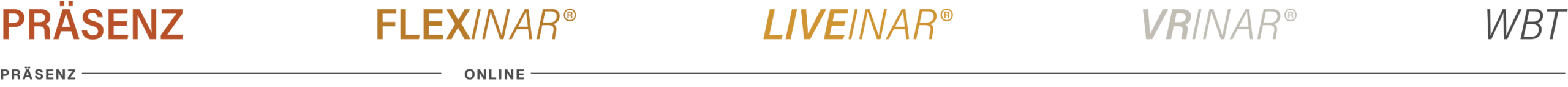 manager-institut-seminar-formate