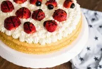 Marienkaefer Torte 10