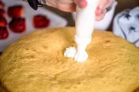 Marienkaefer Torte 3