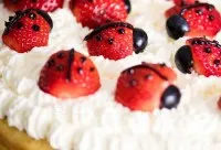 Marienkaefer Torte 6