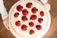 Marienkaefer Torte 7