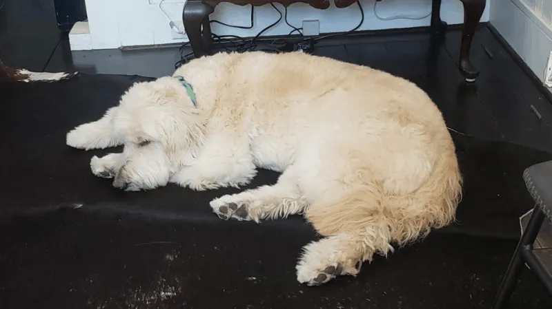 Menschen radeln auf einem asphaltierten Weg