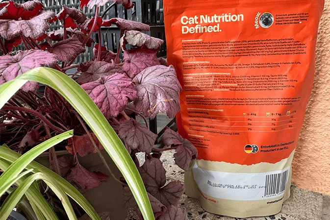 Minimalistisches Design von The Better Cat Better Bird mit wichtigen Infos