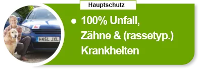 Mitversichert: Unfall, Krankheit und Zähne