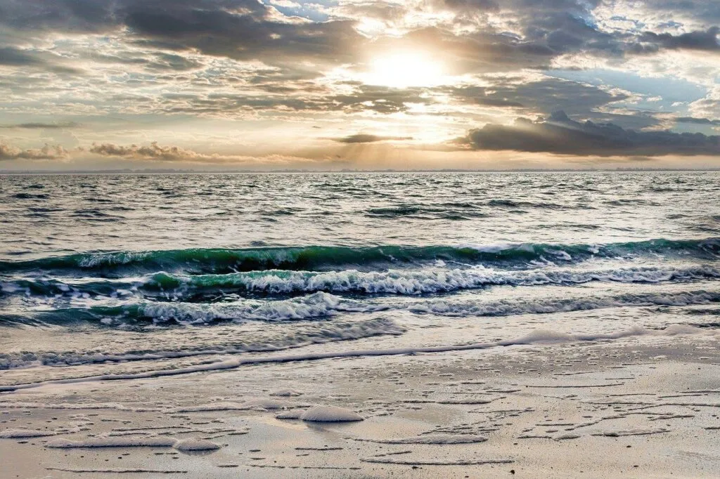 Modernes Baumhaushotel an der Nordsee in Niedersachsen