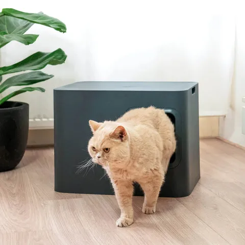 Modernes Katzenklo mit Deckel und erhöhtem Eingang