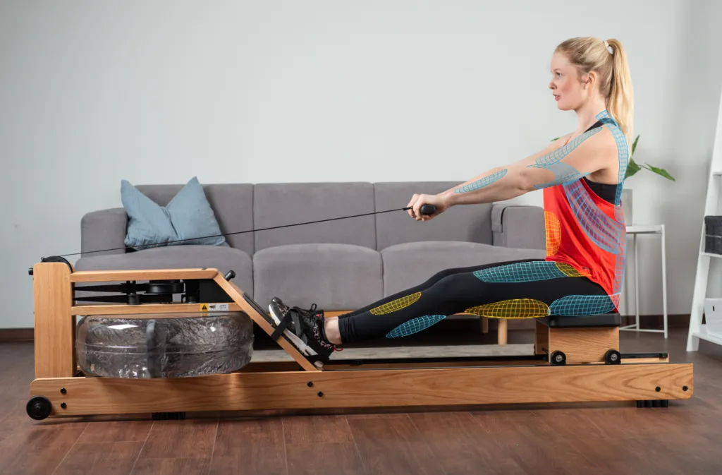 Muskelgruppen die beim Durchzug trainiert werden