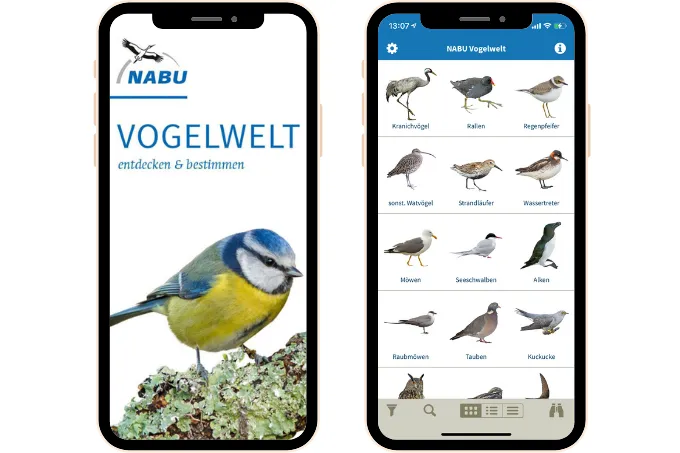 NABU-App „Vogelwelt“